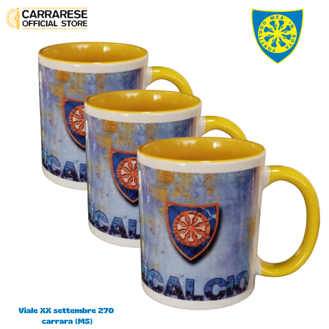Tazza Carrarese Calcio